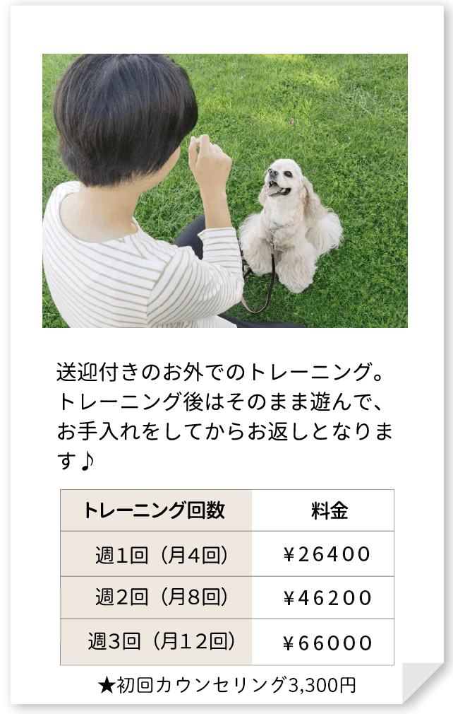 送迎付きのお外でのトレーニング。トレーニング後はそのまま遊んで、お手入れをしてからお返しとなります♪週１回（月４回）￥２６４００、週２回（月８回）￥４６２００、週３回（月１２回）￥６６０００
