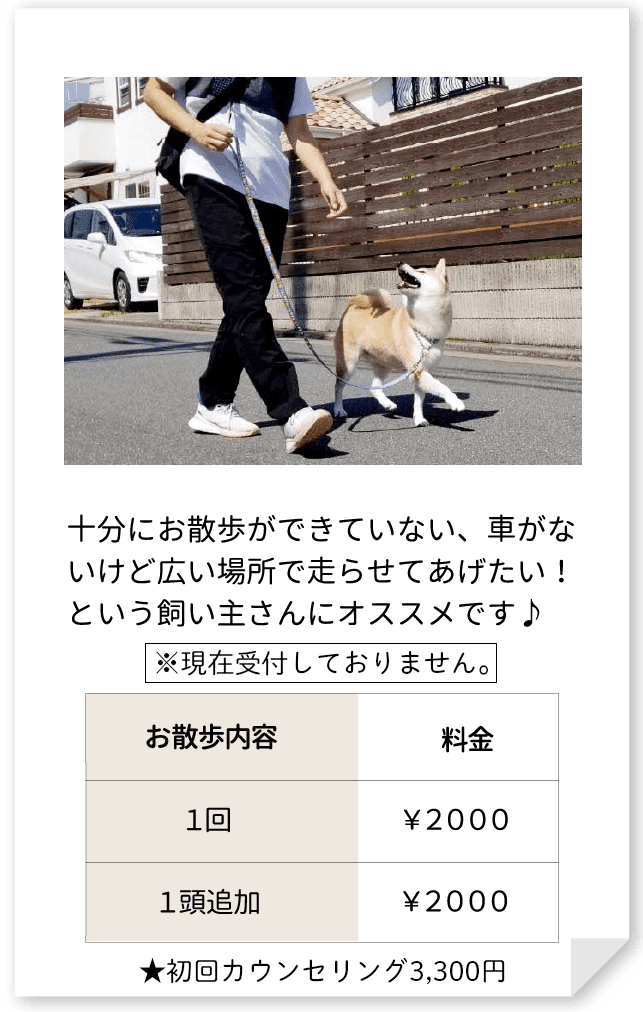 十分にお散歩ができていない、車がないけど広い場所で走らせてあげたい！という飼い主さんにオススメです♪１回￥２０００、１頭追加￥２０００